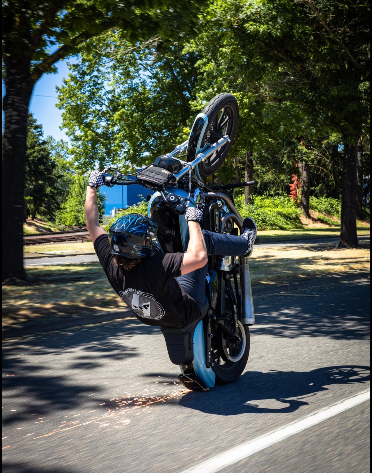 Sportster Subframe / Sportster Scrape Plate