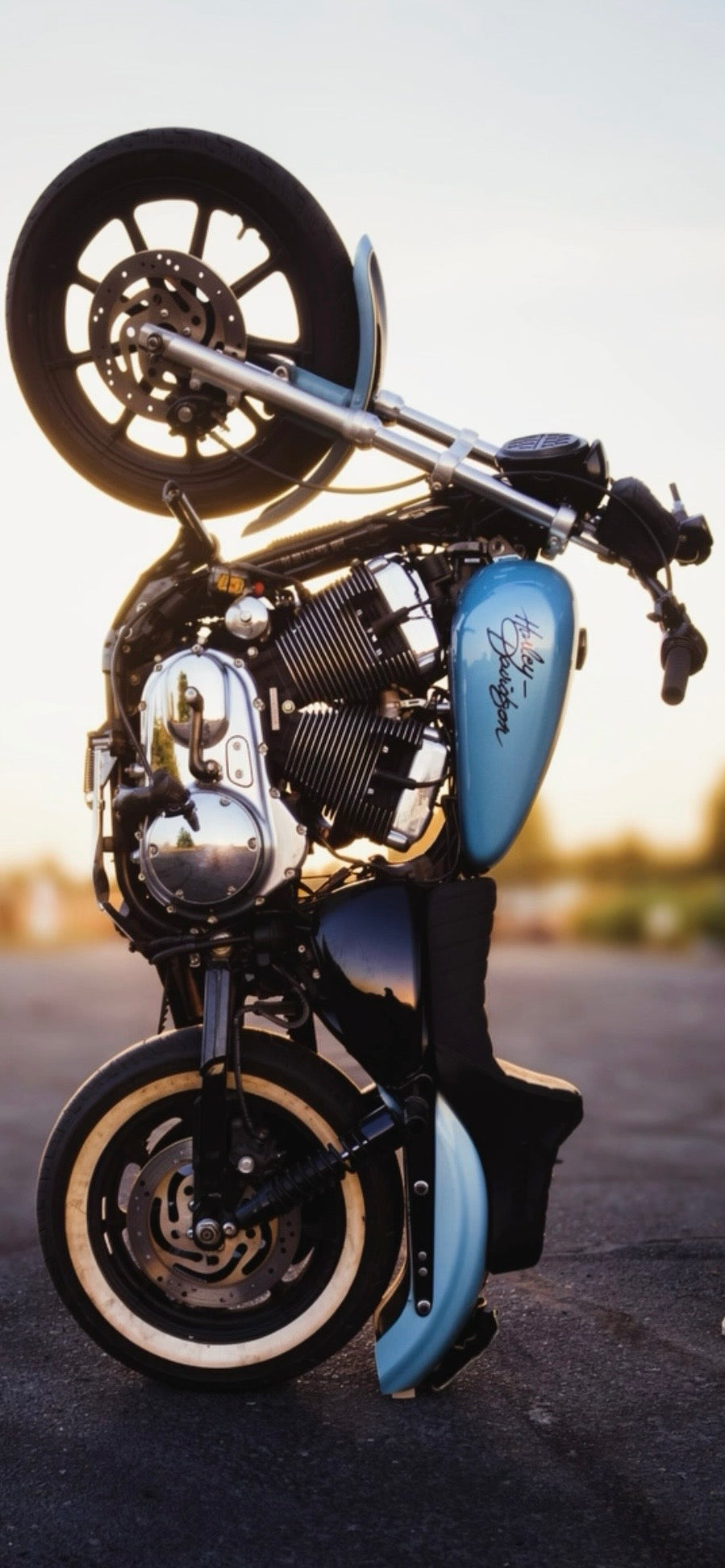 Sportster Subframe / Sportster Scrape Plate